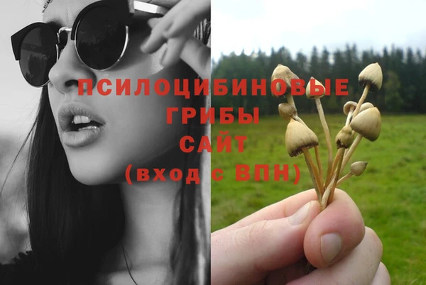 ECSTASY Вязники
