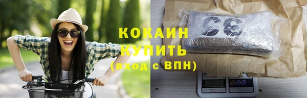 винт Верея